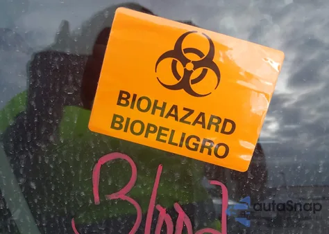 2024 Nissan Altima Sv Fwd из США, поврежденный, VIN 1N4BL4DV7RN331905